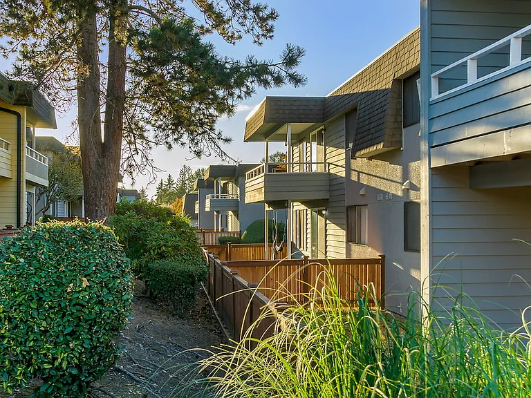 Palisades — Photo 21