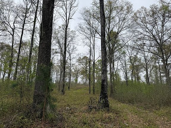 5th image of TRACT 2 Highway 82
