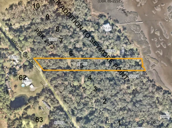 95096 Alligator Creek Rd, Fernandina Beach, FL 32034