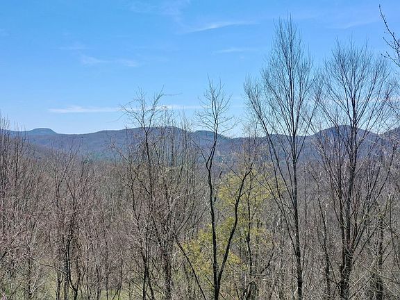 Tree Top Drone Shot 2