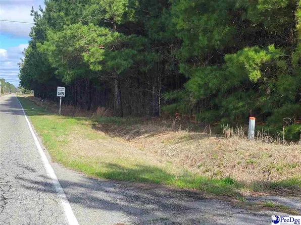 Laughlin Rd, Marion, SC 29571