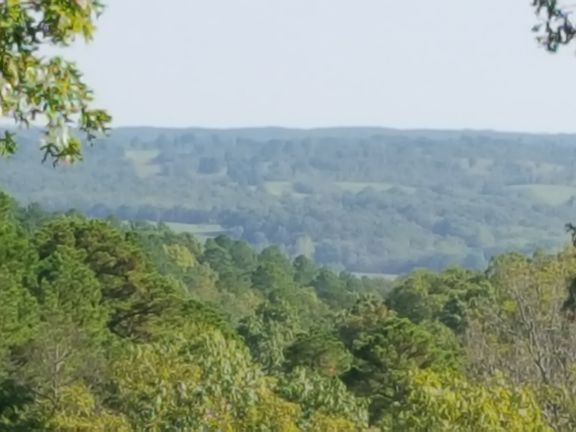View from living room