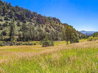 14334 Reserve Road, Pine, CO 80470
