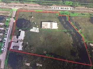 4240 Loury Dr, Wesley Chapel, FL 33543