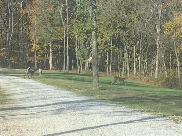 2325 Patton Creek Rd, Pendleton, KY 40055