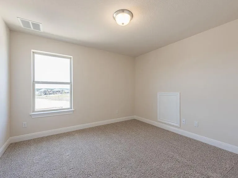 4233 Privacy Hedge St — Photo 6