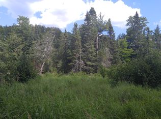 120 Acres County Line Lake Rd, Watersmeet, MI 49969