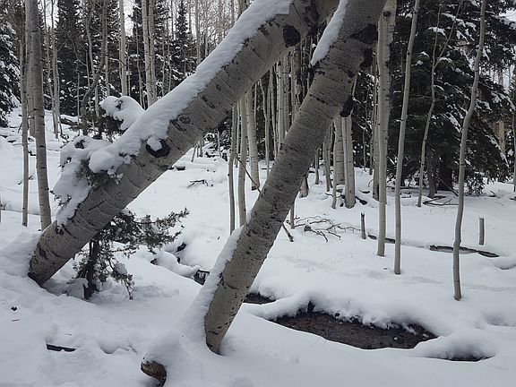 5th image of 28 S Fawn Rd