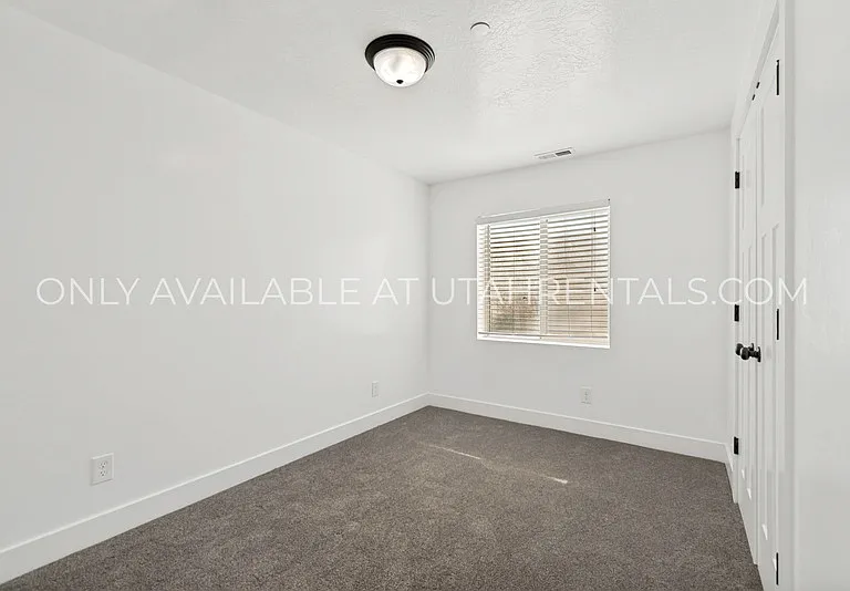 1076 Bear Hollow Ln #BASEMENT — Photo 11