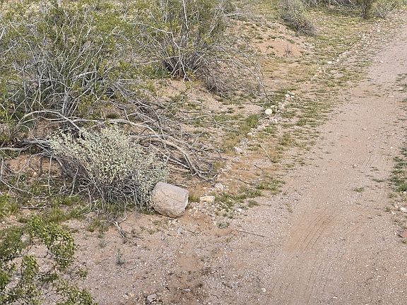 4th image of 308XX W Joy Ranch Road #-