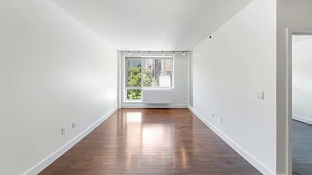 Rented by Bizzarro Agency