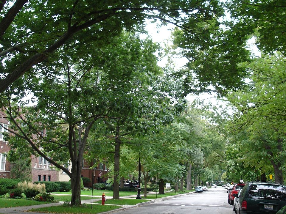 Street