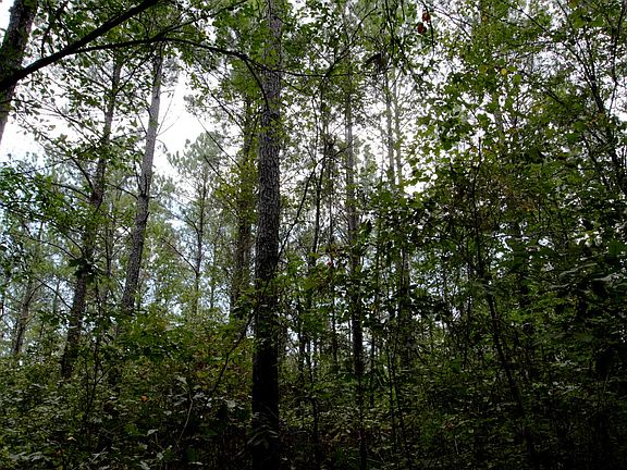 5th image of County Road 88