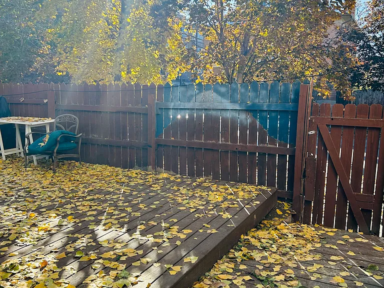 Backyard - NEW HUGE DECK