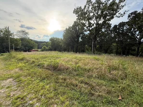 9 Lusk Rd, Golconda, IL 62938