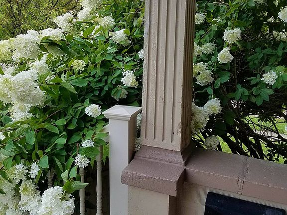 Flowers off the porch