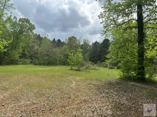 55 County Road 3669, Queen City, TX 75572