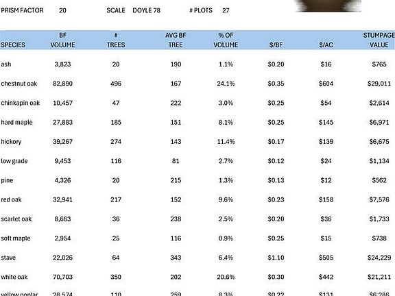 5th image of 106 Robert J Clark Rd