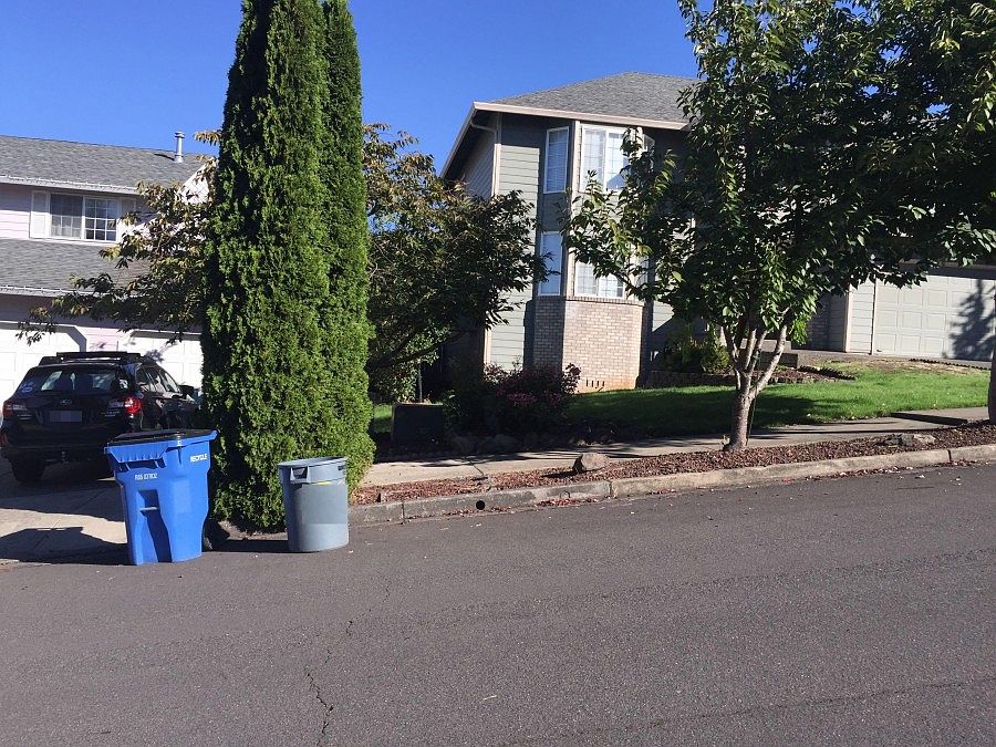 2nd image of 19812 SE 41st St