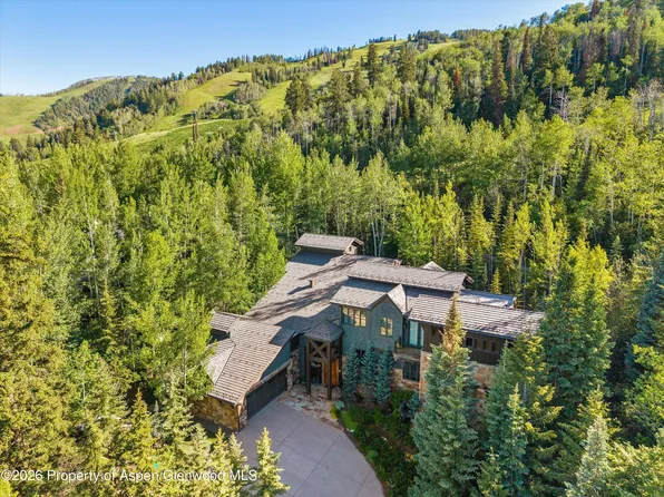 386 Pfister Dr, Aspen, CO 81611