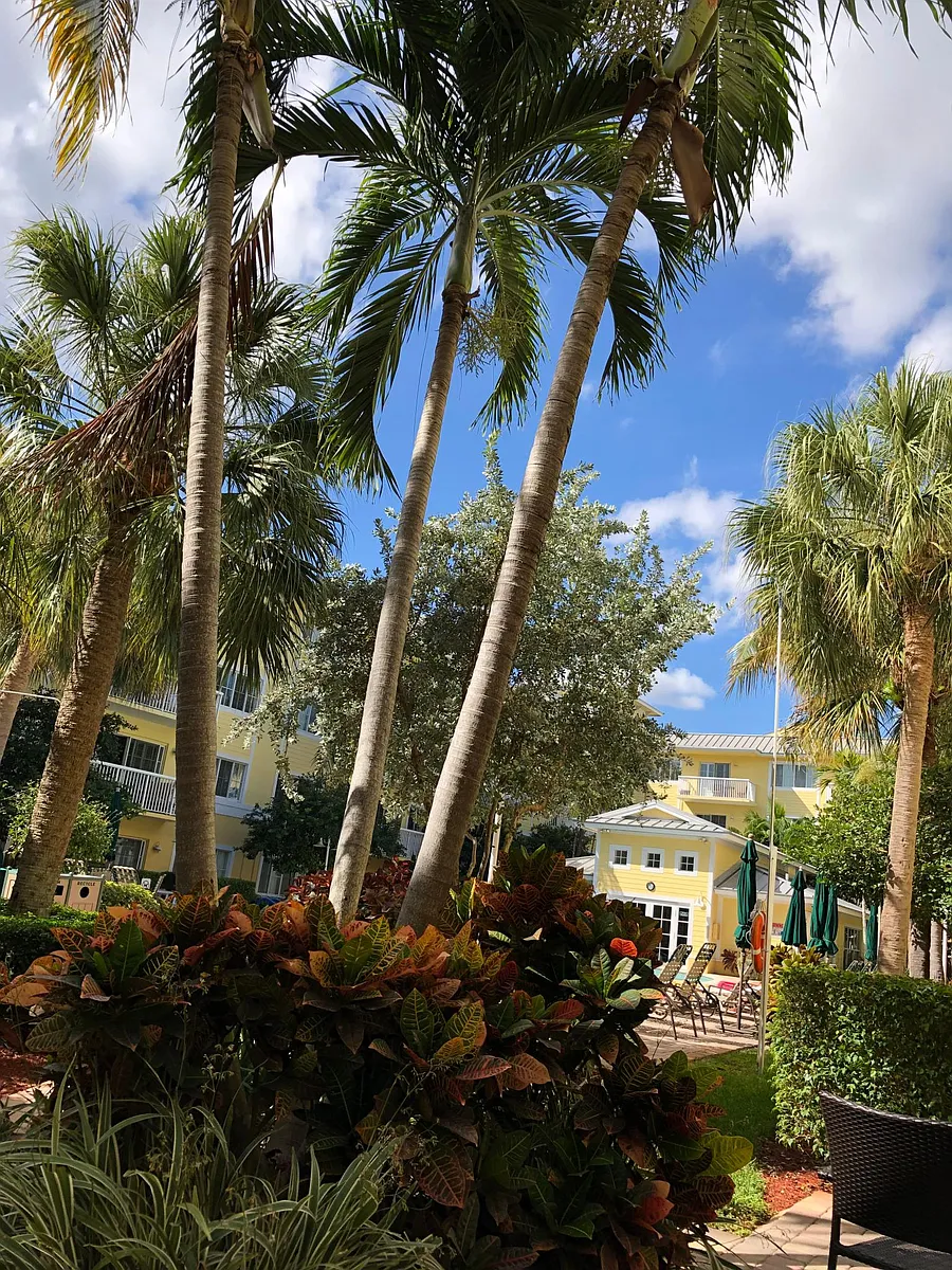 Building Photo - 1515 E Broward Blvd #119