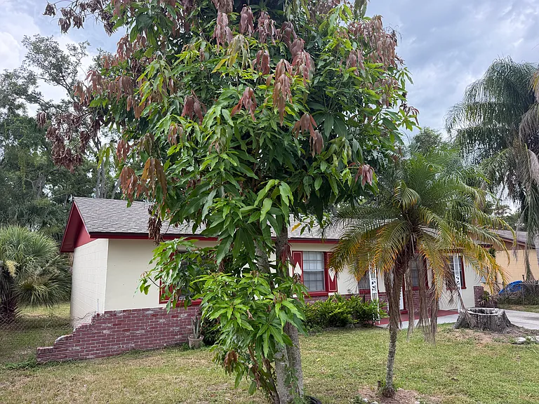 4403 Dolphin Dr — Photo 5