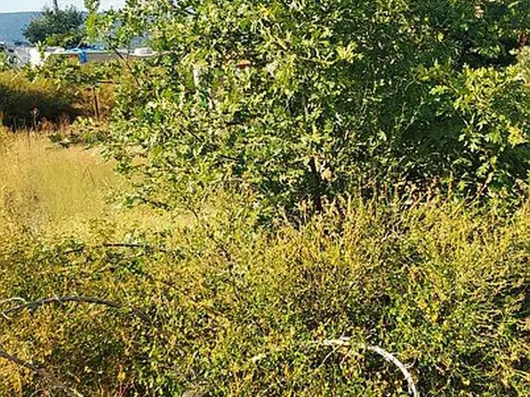 470 Southridge Rd, Hayfork, CA 96041