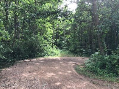 Wildflower Ln, Fennville, MI, 49408