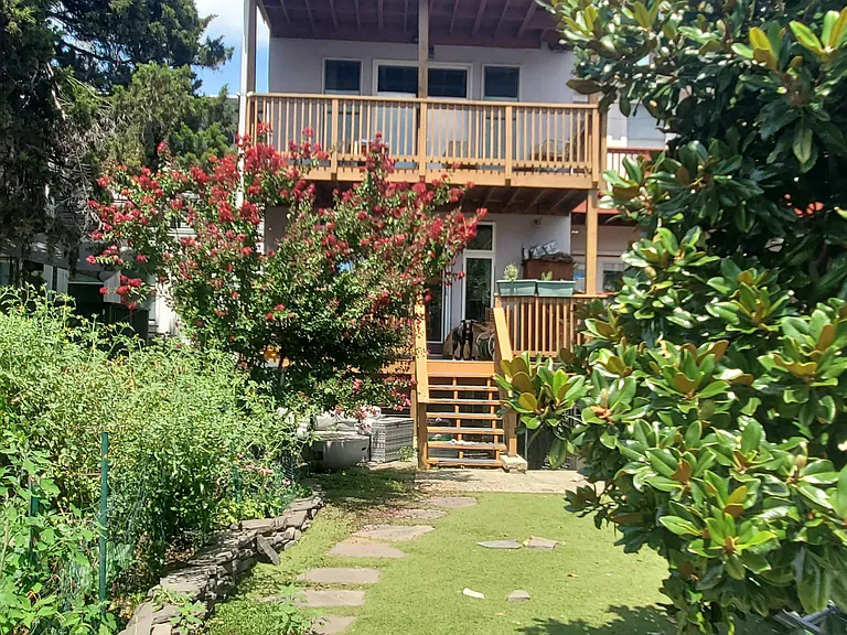 View of house from garden