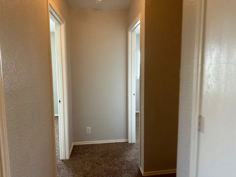 10627 Shaenpath — Photo 25