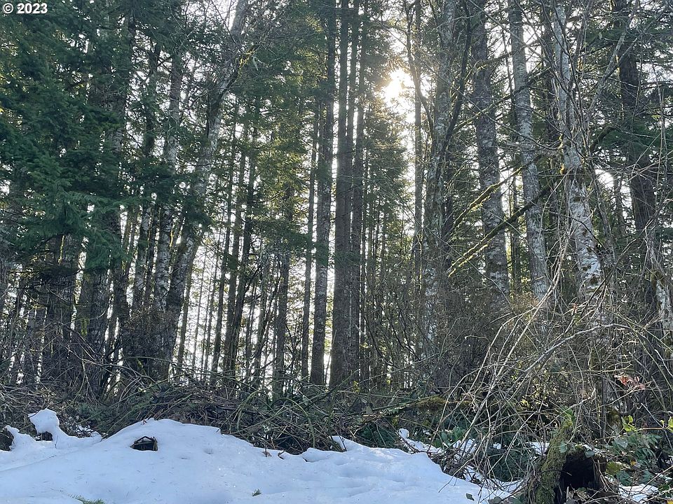 NW Smoke Ranch Rd, North Plains, OR 97133 MLS 23576300 Zillow