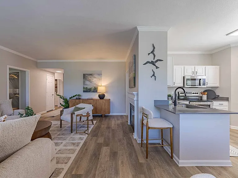 Living Area and Kitchen