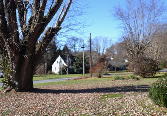 5th image of 341 Sandalwood Dr