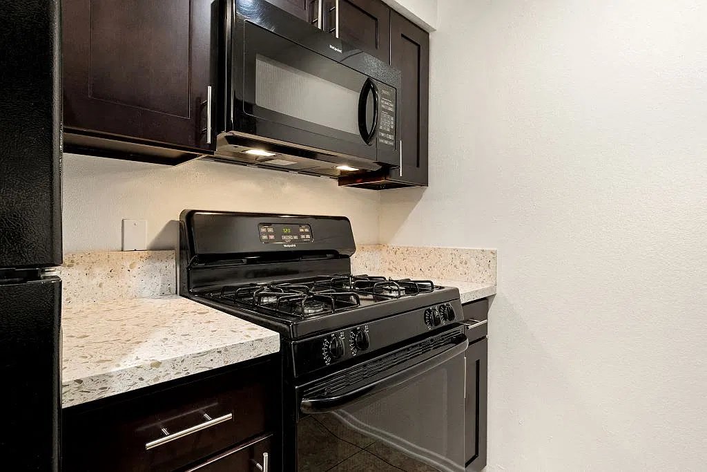 Topanga Terrace Apartments — Photo 4