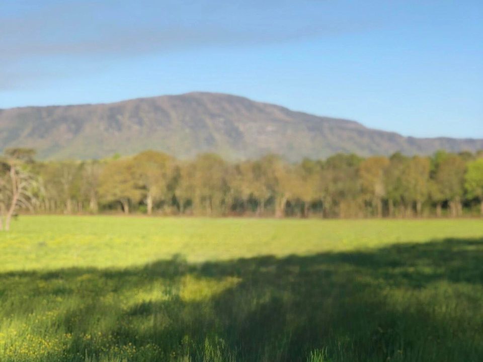 2nd image of LOT 1 Hildabrand Rd