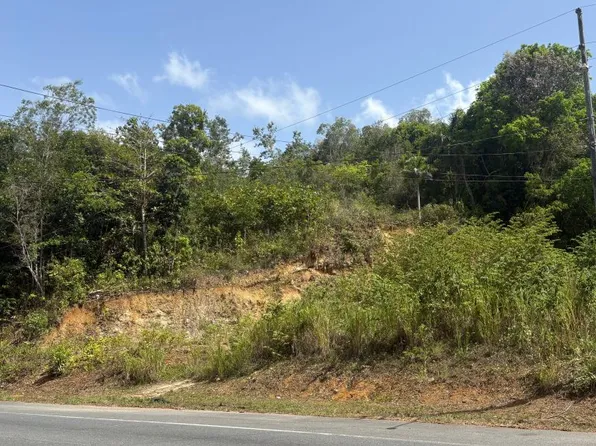 Carr 140 Km 56 Bo, Florida, PR 00650