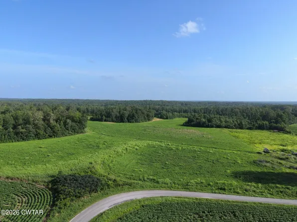 0 E Sulphur Springs Rd, Cedar Grove, TN 38321