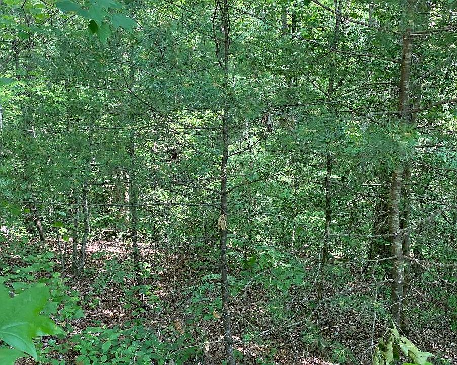 1st image of L30 Amelia Dr