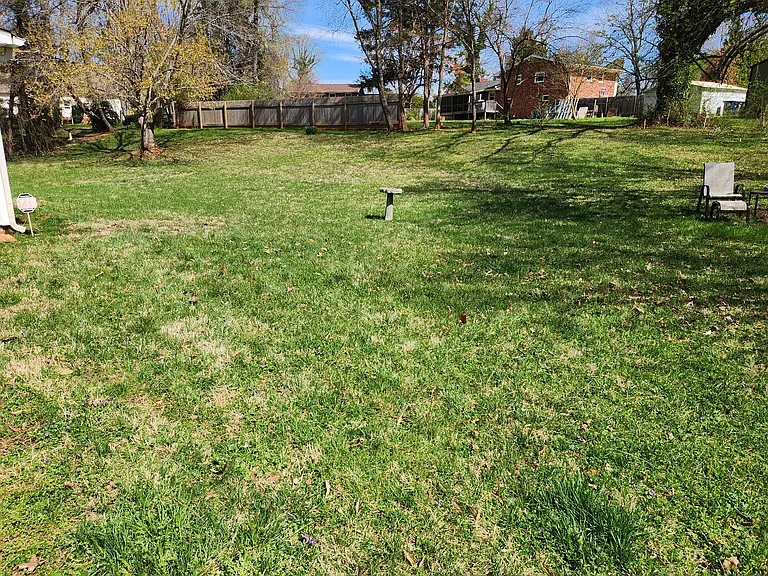 back yard