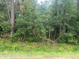 River Ridge Rd, Summit, MS 39666