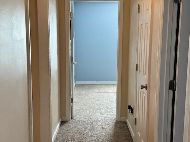 224 Hemlock Dr — Photo 6