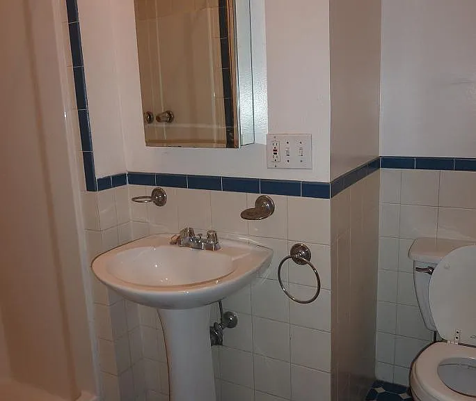 751 Manhattan Ave #2R — Photo 8