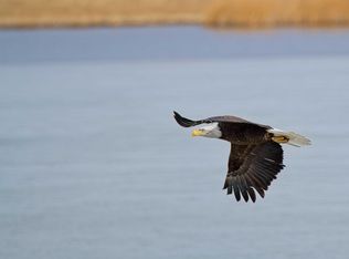 27 Ridge Rd, Centennial, WY 82055