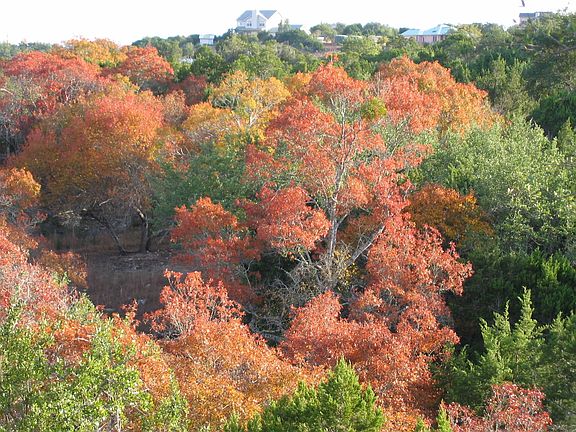 fall over looking canyon