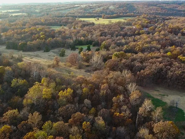 Brush Rd #802, Summers, AR 72769