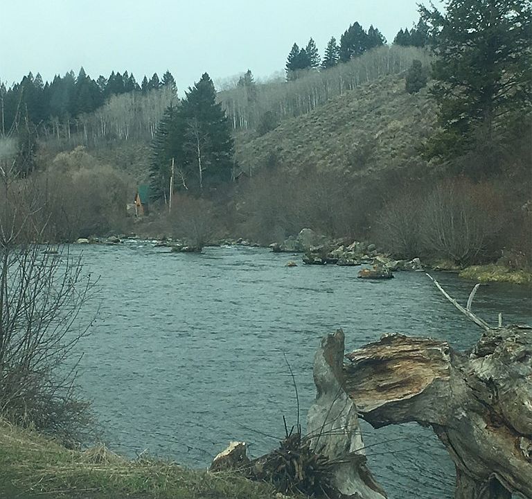 2nd image of 3582 N Juniper Dr