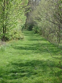 100 Acre Park Walk Path
