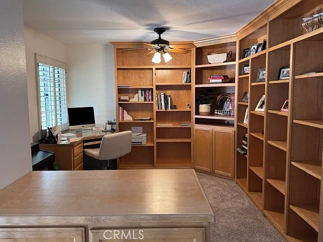 29347 Canyon Rim Pl — Photo 28