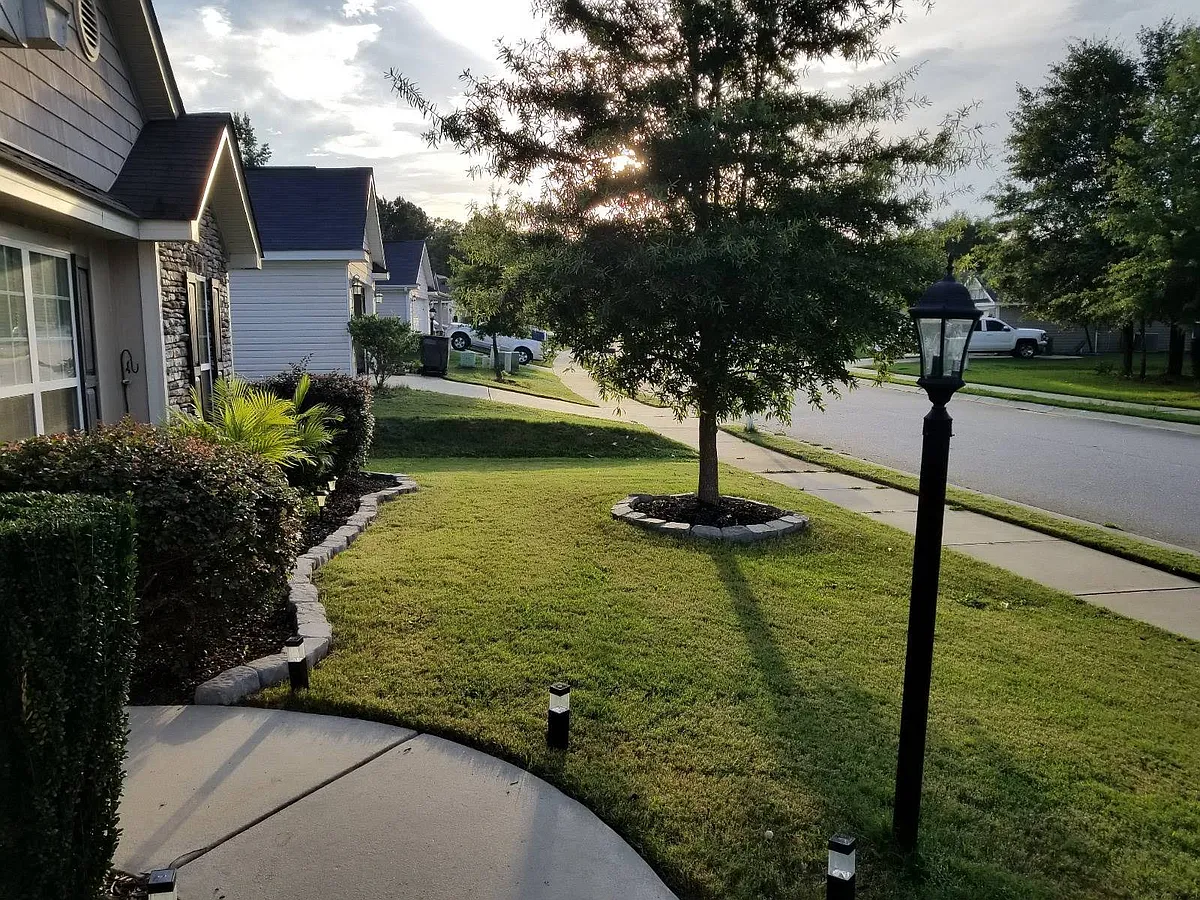street view - 3121 Alexandria Dr
