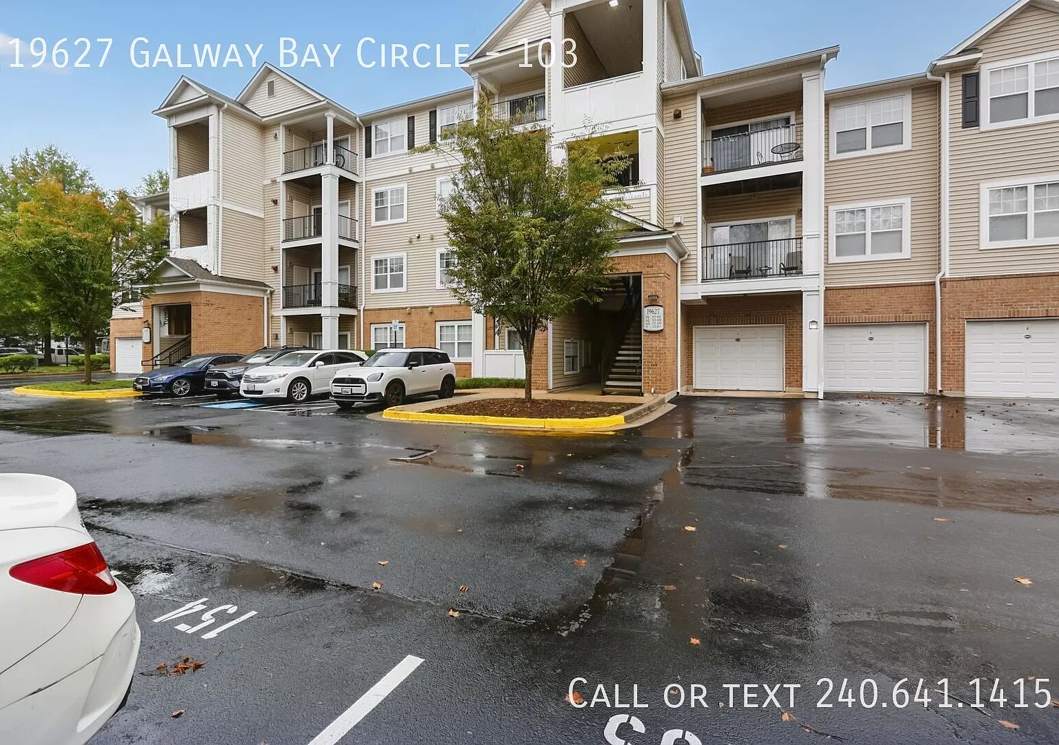Beautiful 1 BR/1 BA Condo in Germantown! — Photo 1